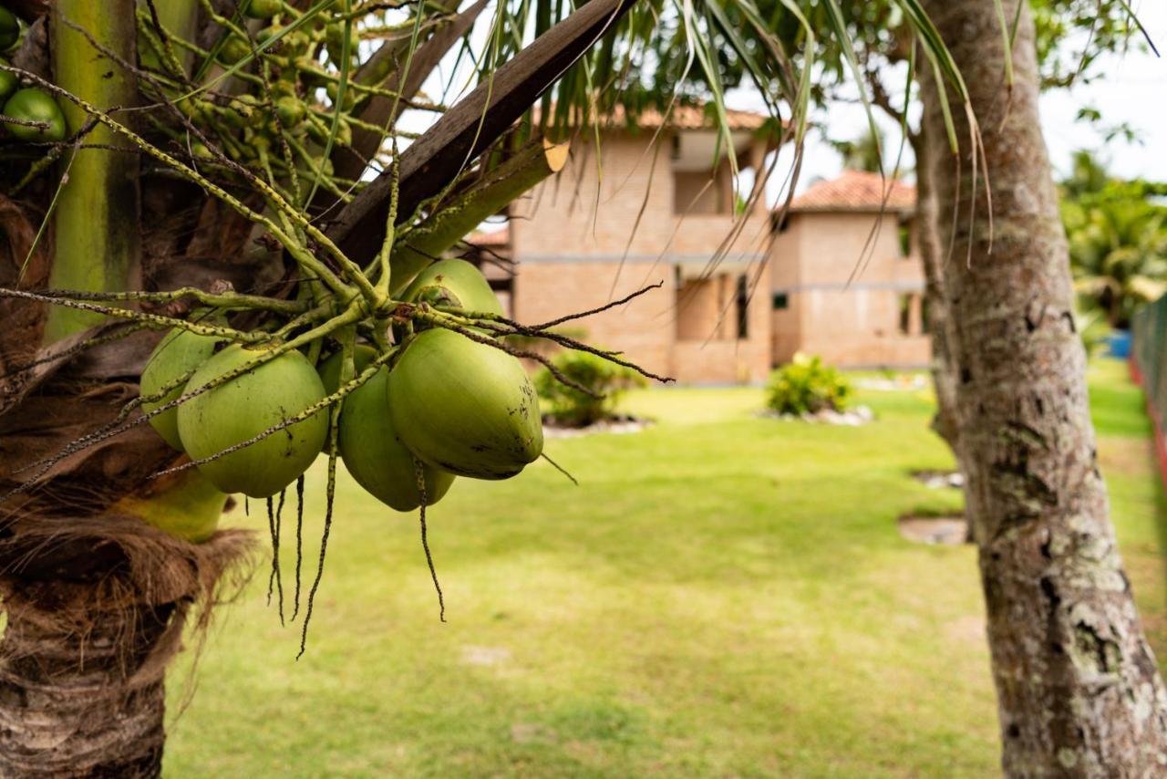 Pousada Boa Sorte Cumuruxatiba Exteriér fotografie